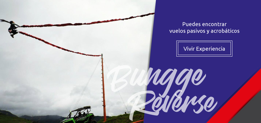 bungge reverse